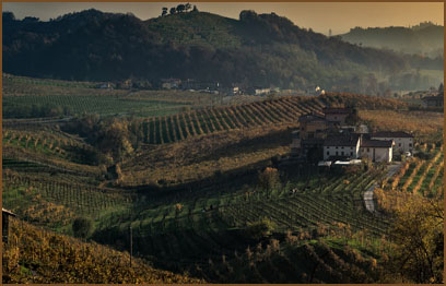 The hillside of Champagne, France known for its ideal climate for growing grapes