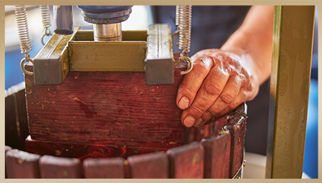 Crush - Pressing wine after fermentation