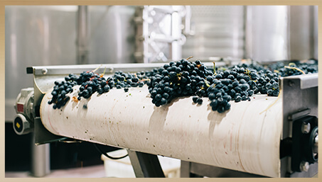 Crush - Shaker tables used for sorting grape clusters