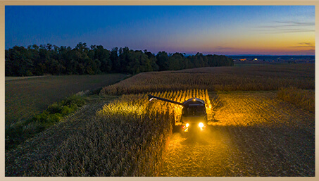 Wine Harvest - Transportation to the winery