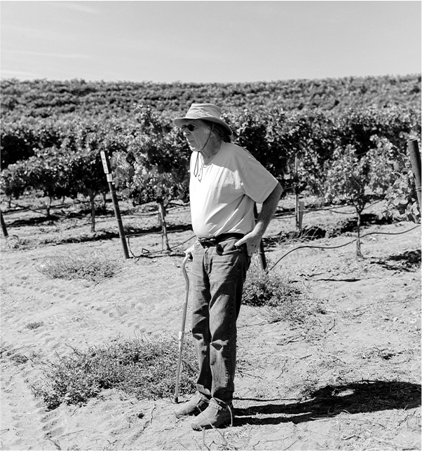 Randall Grahm, the visionary winemaker, on the vineyard.
